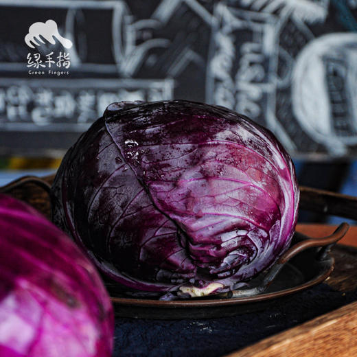 生态紫甘蓝 | 绿家自产*ecological cabbage | Self-production 商品图2