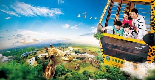 【车游长隆】专车进园游览+趣味讲解（可优惠加购旅拍） 商品图14