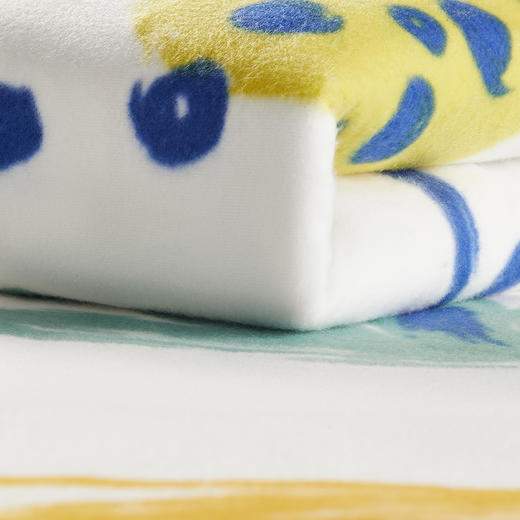 彩虹 双控双温电热毯特大宽幅印花2米*1.8米T2018 电热毯 商品图4