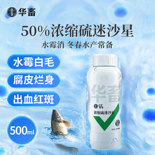 华畜硫醚沙星水产养殖水霉病专治鱼药水霉清白毛病烂身烂尾水霉净 商品图1