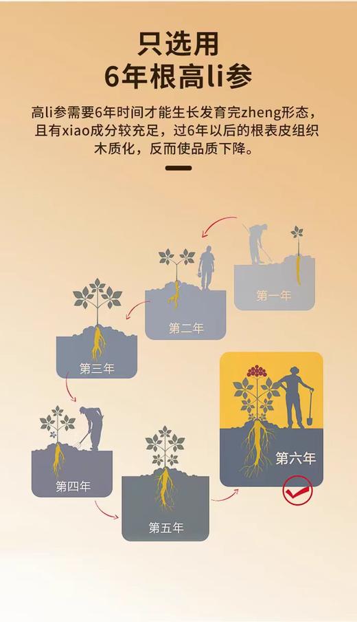 韩国正官庄 韩国高丽参6年根红参珍膏真膏正宗滋补人参膏 商品图12