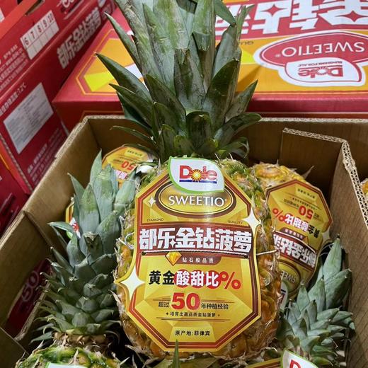 金钻凤梨500g 商品图0