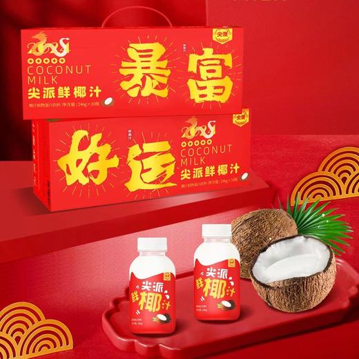 尖派鲜椰汁1件10瓶 商品图0