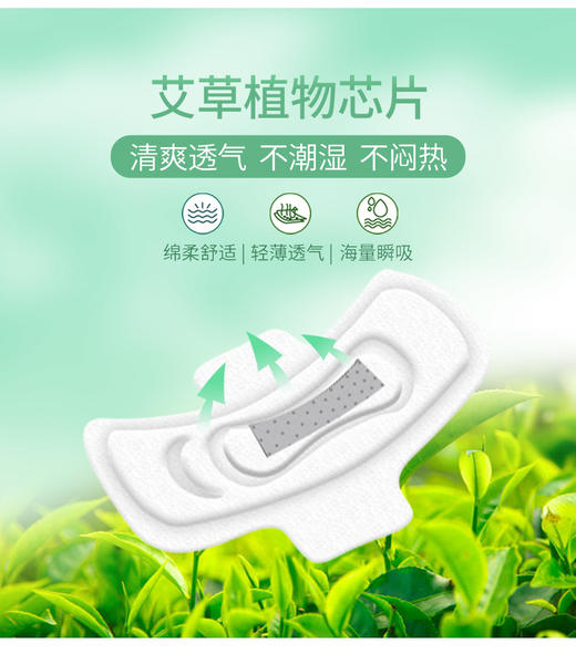 【大健康】CH208-马应龙护理艾草植物芯片卫生巾-日用 商品图2