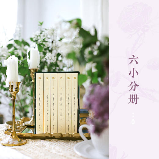 《飘：（青春版）》 商品图2