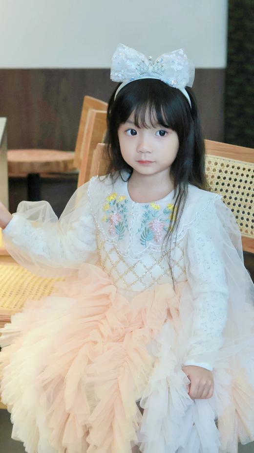 梦幻珠纱公主裙（是背心裙哦，不含内搭） 商品图3
