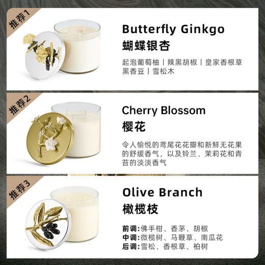 Michael Aram 马蹄莲/银莲花/蝴蝶银杏/向日葵/鸢尾花/樱花蜡烛 手工制作香薰蜡烛灭烛罩灭烛器生日礼物礼盒 商品图2