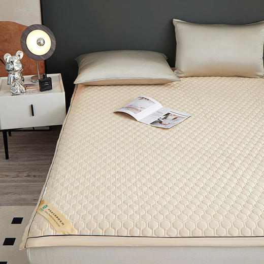 【春节不停运】【买即送4盒颈椎贴膝盖贴】平直堂秋冬双面床垫， 陈年艾绒+新疆长绒棉，睡着就能养身排湿【G】 商品图3