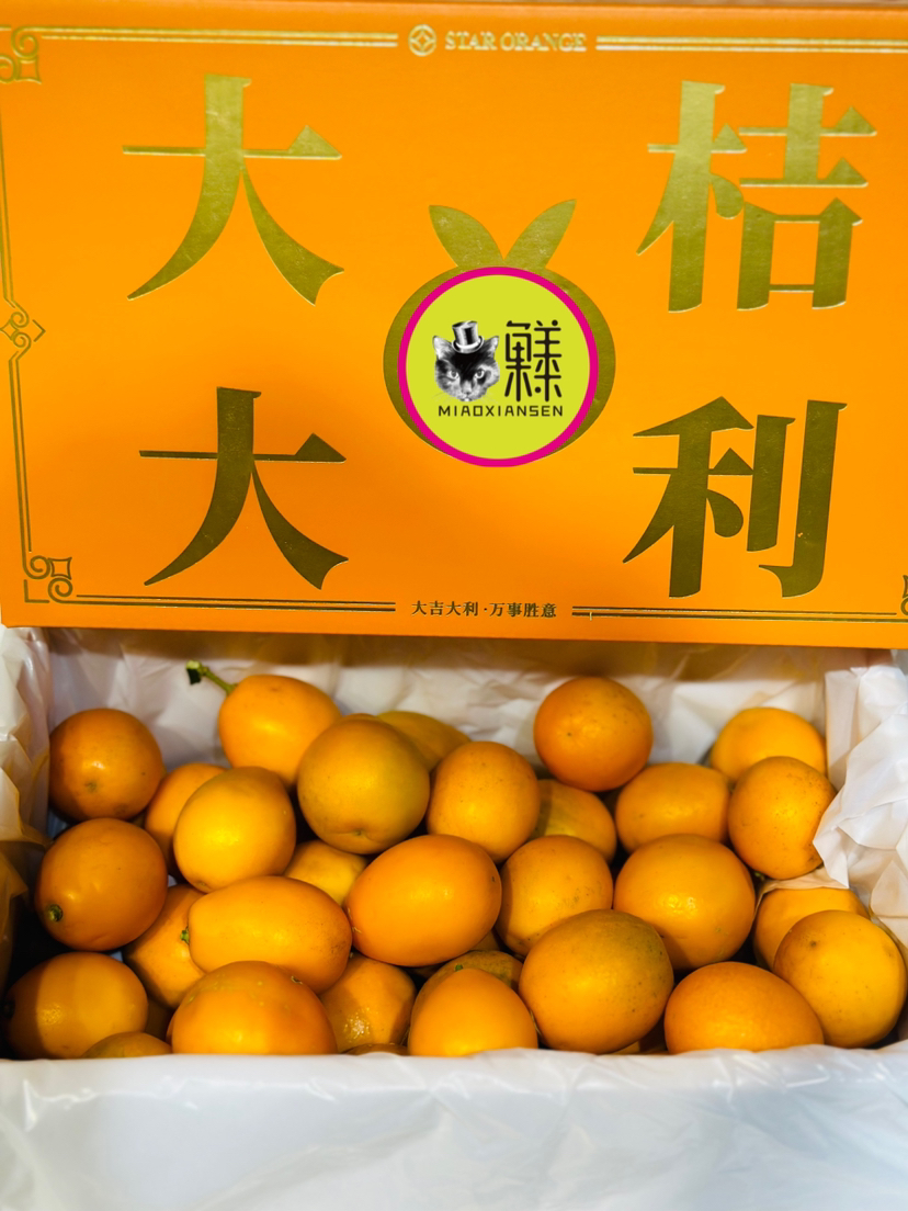 【大桔大利】脆蜜金柑（3A）礼盒1.6kg装