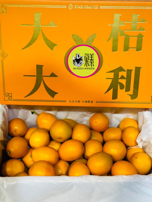 【大桔大利】脆蜜金柑（3A）礼盒1.6kg装 商品图0