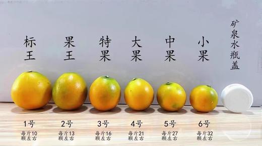 【最后两天 果子很嫩！ 】金桔天花板-脆蜜金柑 皮脆肉嫩超多汁  顺丰快递 商品图13