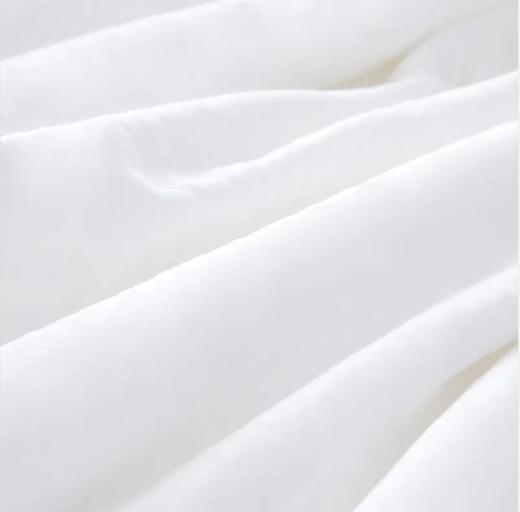 KENZO KZ虎头绣花被 KXW-023 商品图3