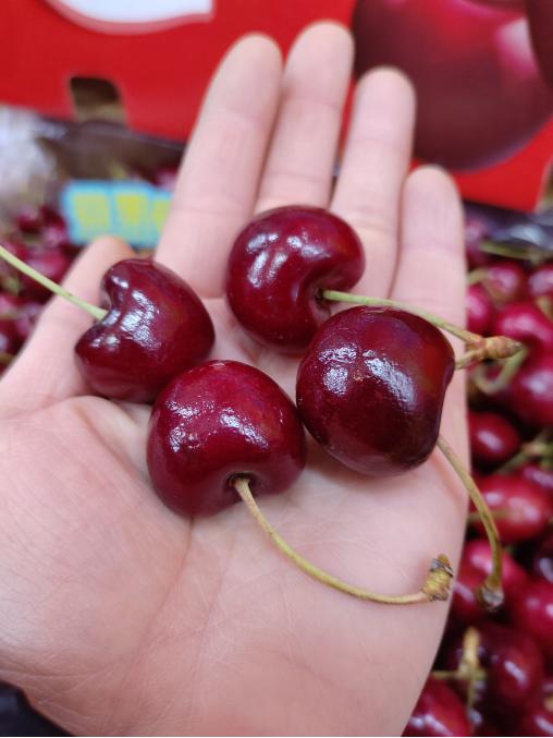 都乐单J车厘子一箱（10斤装） 商品图3