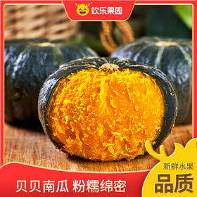 【产地直发】山东 贝贝南瓜4.5斤普 单果300g左右