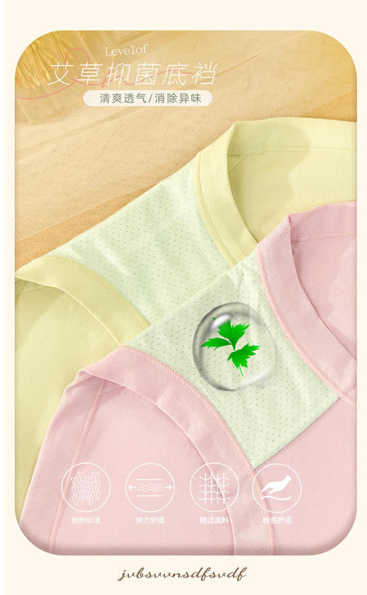 （一盒两条）60支精梳棉彩纱大版高腰蕾丝收腹女士净色大版内裤2871/2881/92881/12863 商品图8