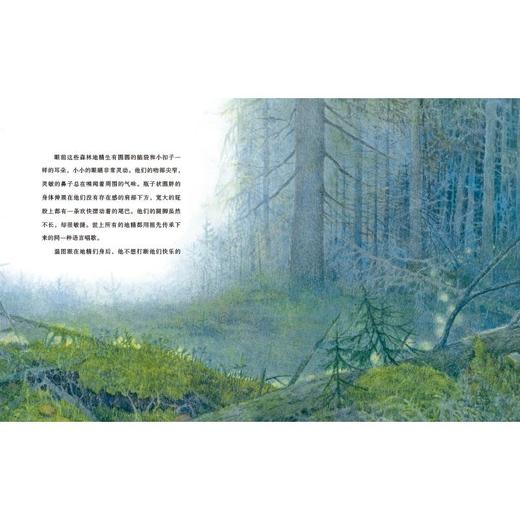 海边精灵的小明亮 商品图3
