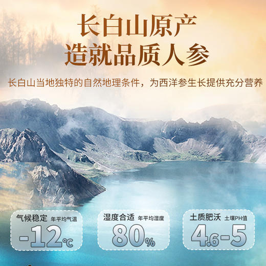 雷允上直营 | 西洋参含片100g/罐（直径1.2cm-1.4cm）自然原产品质老参浓香回甘 商品图1