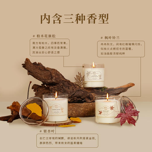 押花系列香薰蜡烛 商品图1