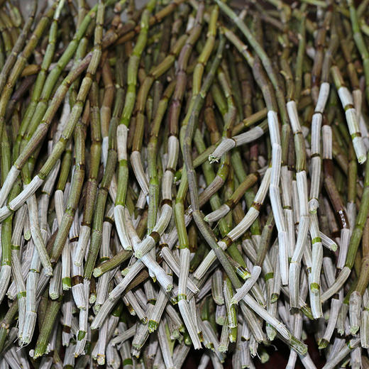 【72小时发货】大益康堂 霍山铁皮石斛鲜条 250g 商品图3