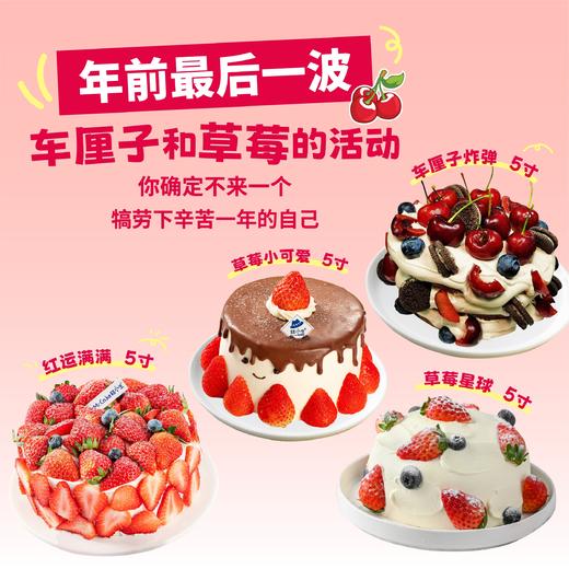 低至99元起，年前最后一波车厘子和草莓的活动 商品图0