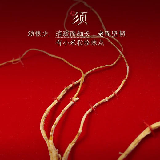 长白山人参 野山参A1一等 约20年/大于7g/盒【LXDWYY8.0】 商品图3