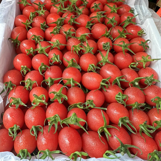 蛙语爆浆千禧果 一筐5.5斤 商品图6