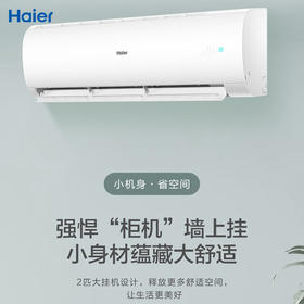 海尔（Haier）劲风 2匹 新一级客厅变频空调挂式 自清洁空调挂机 KFR-50GW/24PAA81U1套机