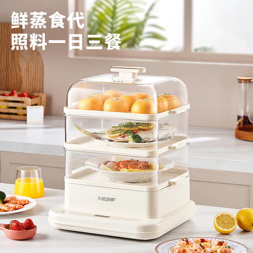 【NERF 拉尔弗电器】电蒸锅-AEM-DZG8 商品图0