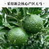 一球2023年新品天马宫廷小青柑 商品缩略图4