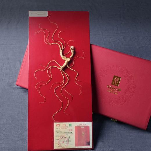 长白山人参 野山参A1一等 约20年/大于7g/盒【LXDWYY8.0】 商品图1