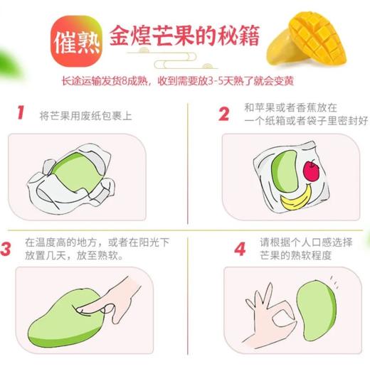 [最农公社]海南金煌芒带箱5斤/9斤肉质甜滑个大核薄 商品图7