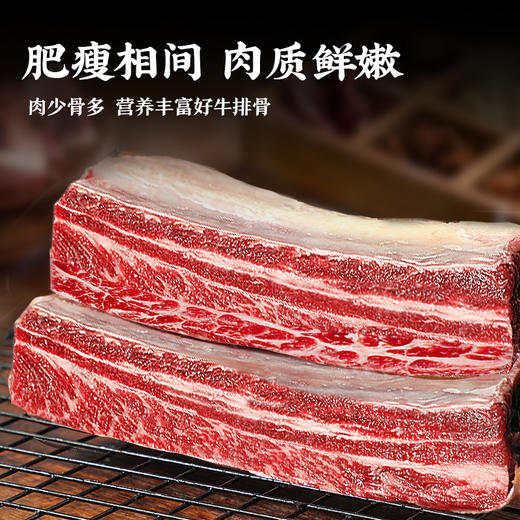 东上御品| 内蒙四肋牛排5斤原切清真肋排骨新鲜炖煮 商品图2