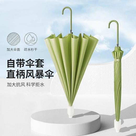【48小时发货】巨抗风！16骨纯色弯柄防水套直杆伞现货 创意简约小清新长柄伞 商品图0