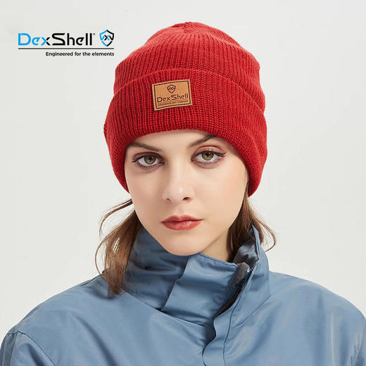 DexShell 戴适 WatchBeanie 防风防水羊毛针织冷帽 DH322 商品图1