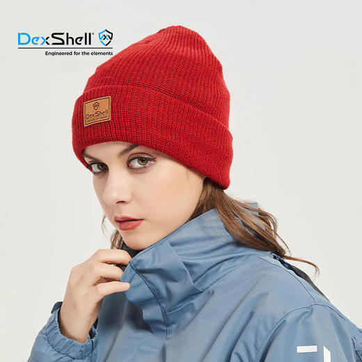 DexShell 戴适 WatchBeanie 防风防水羊毛针织冷帽 DH322 商品图0