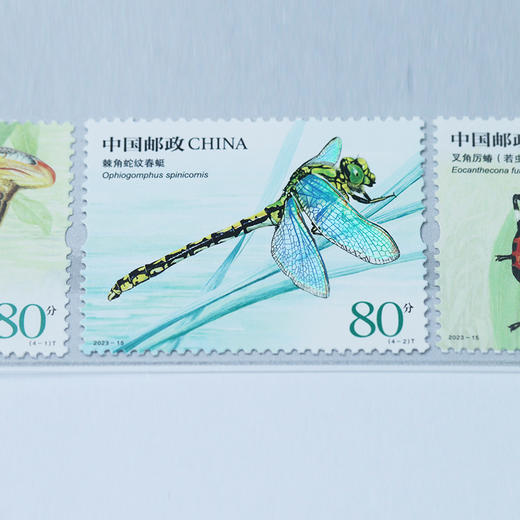 【中国邮政】2023年邮票大全·珍藏邮票年册 商品图8