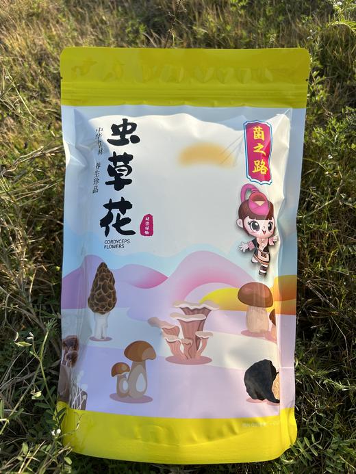 虫草花 100g【LY】 商品图0