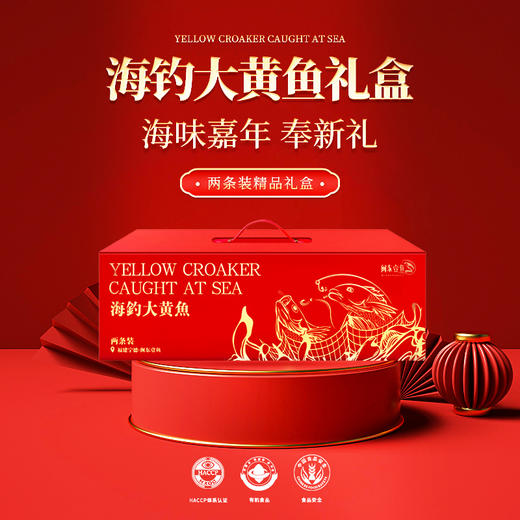 沈爷的宝贝 年货 闽东壹鱼海钓大黄鱼礼盒  1.8~2斤/条 1.2~1.4斤/条*2条 两规格可选 商品图0