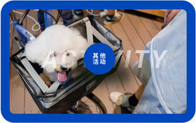 万科公路自行车租赁押金