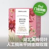 荷叶玫瑰洛神花茶 Lotus Leaf Rose and Roselle Tea 49g/盒(7g*7包) 商品缩略图0