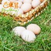 东升农场土鸡蛋  新鲜鸡蛋 30枚 中通包邮 商品缩略图1