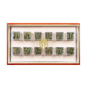 大益康堂 霍山米斛冻干礼盒装 15g