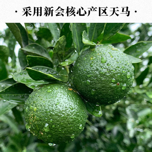 2023年一球天马古树宫廷小青柑250g*2罐 商品图4