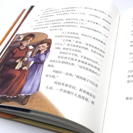 草原上的小木屋 商品图1