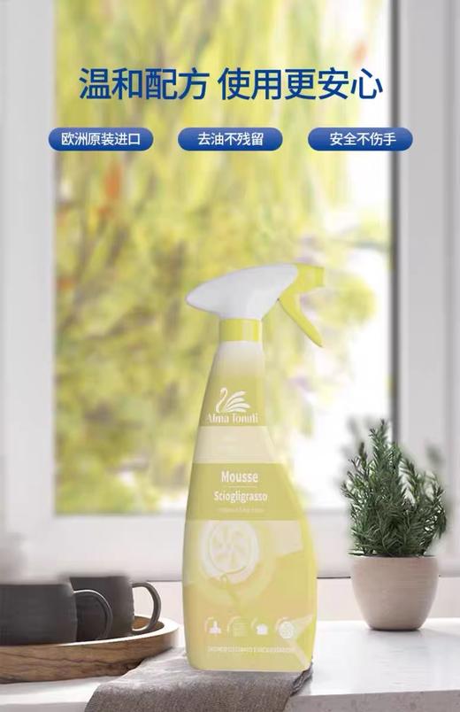 澳士洁香氛型油污清洁剂500ml 商品图0
