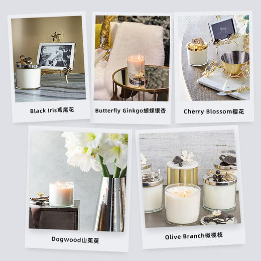 Michael Aram 马蹄莲/银莲花/蝴蝶银杏/向日葵/鸢尾花/樱花蜡烛 手工制作香薰蜡烛灭烛罩灭烛器生日礼物礼盒 商品图1