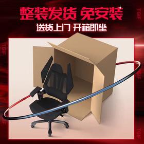 【WE专享】整装 T0 Pro 电竞人体工学椅