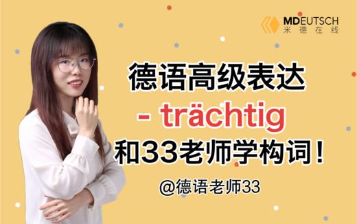 德语超强构词成分 -trächtig 商品图0