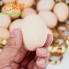 东升农场土鸡蛋  新鲜鸡蛋 30枚 中通包邮 商品缩略图4