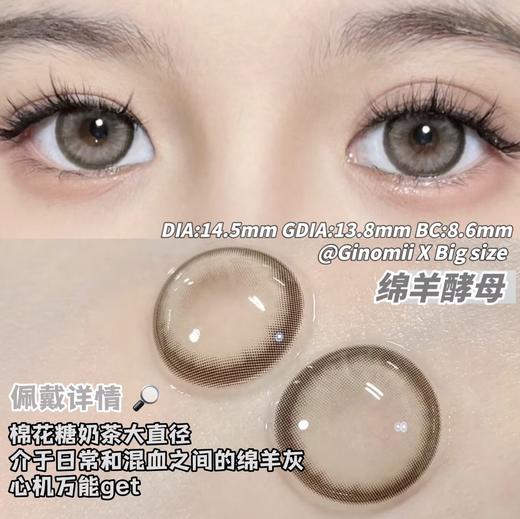 【宝妹推荐】Ginomii·半年抛  绵羊酵母 14.5  微醺烟灰色，迷离感大眼珠子自然又混血！混血小白轻松驾驭！ 韩国0-800度<一副两片> 商品图2